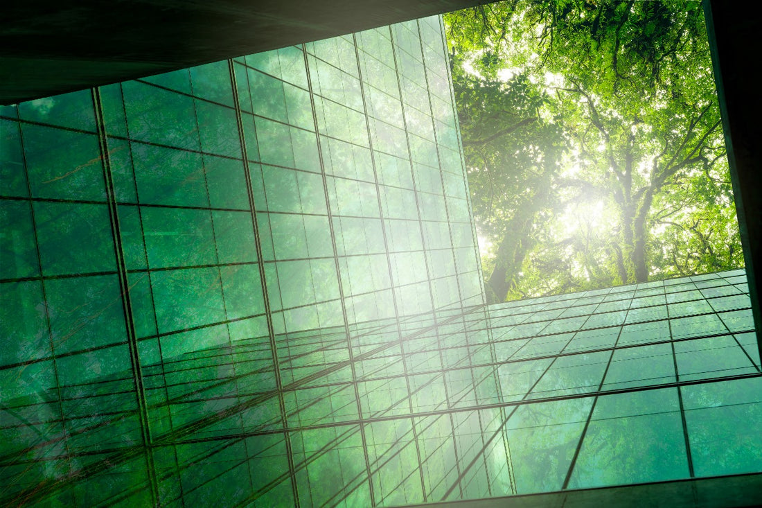 Beat the Melbourne Summer Heat with Energy Efficient Glass Upgrades